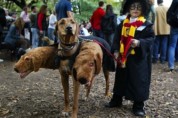 https://www.ggbailey.com/wp-content/uploads/2012/10/fluffy_the_three_headed_dog_from_harry_potter.jpg